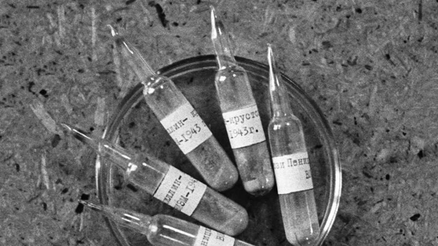 Ампулы 'Крустозина' Ампулы 'Крустозина'